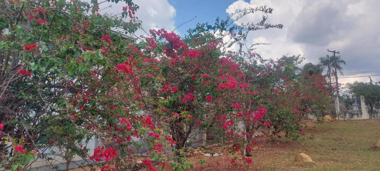 Villa De Assis Suites Alto Paraíso de Goiás Esterno foto